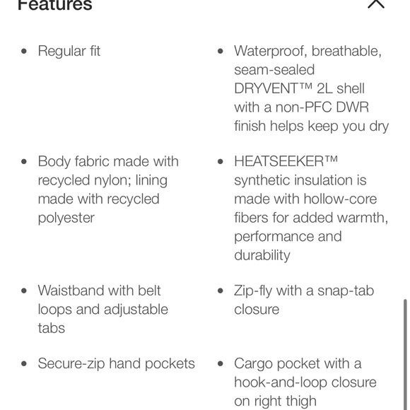 The North Face Freedom Insulated Snow Pants - Picture 2 of 15